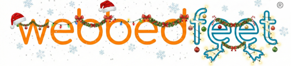 Webbed Feet, web developers in Salisbury, Wiltshire