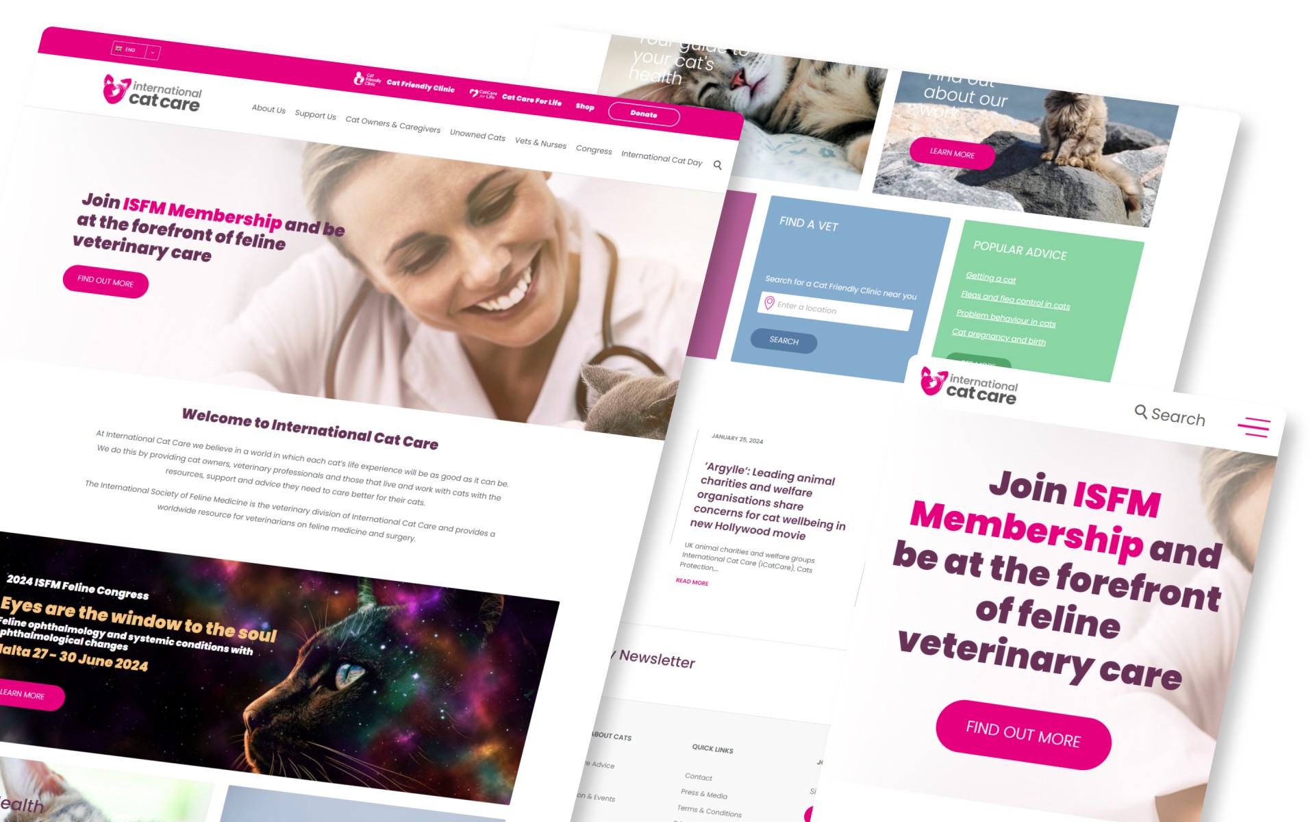 International Cat Care International Cat Care