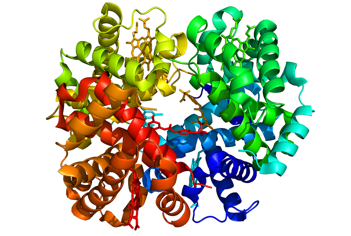 Protein folding