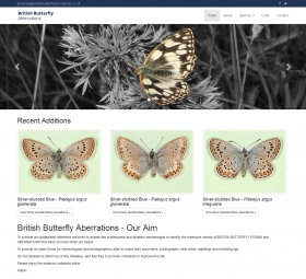 British Butterfly Aberrations